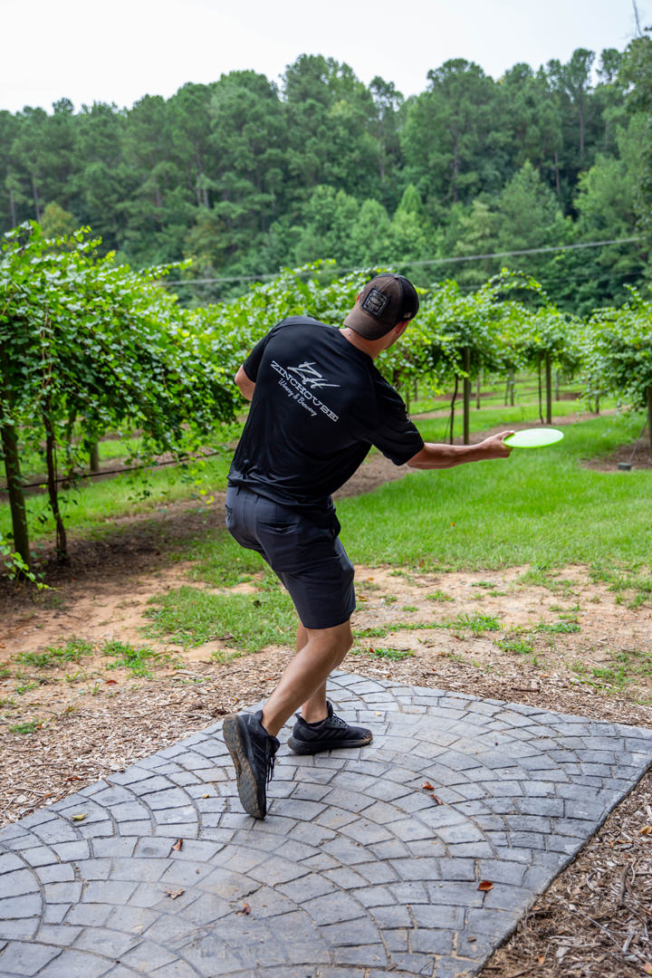 Disc golf – ZincHouse Disc golf - ZincHouse
